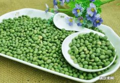 青豆的营养价值及功效禁忌